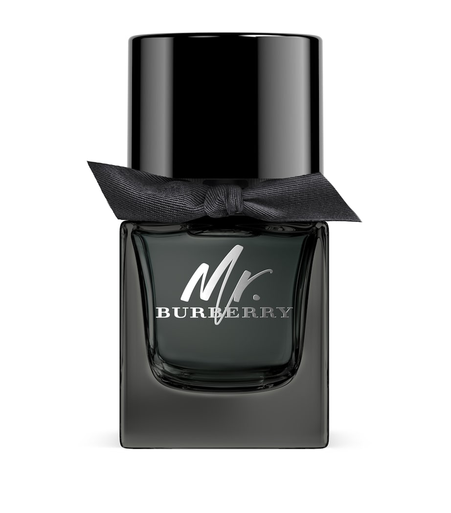 Mr Burberry Indigo Eau de Parfum (50ml) NO COLOUR Image 1