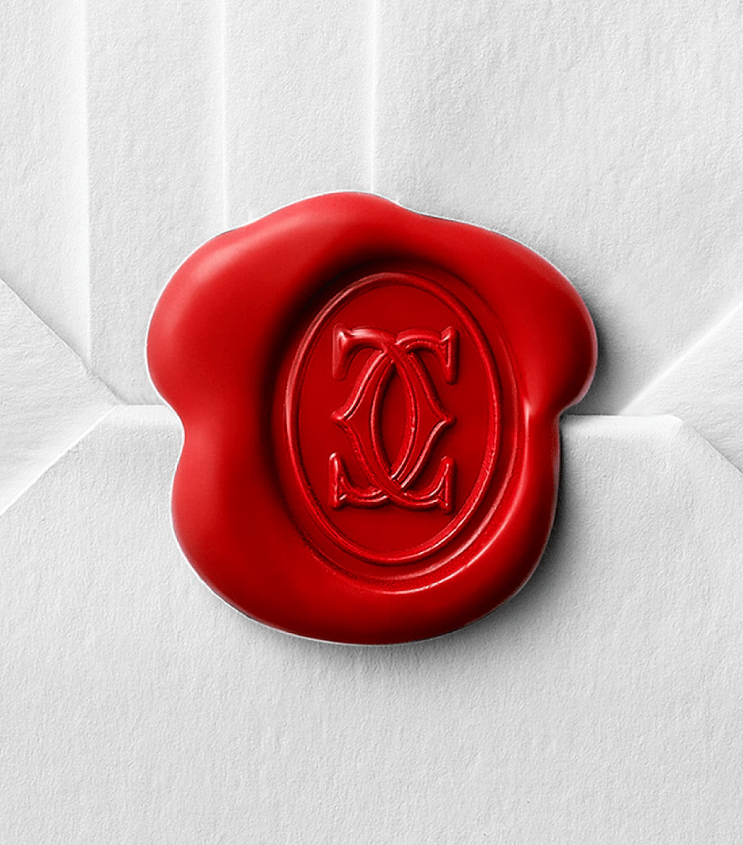 Stainless Steel Santos-Dumont Watch 46.6mm SILVER Image 8