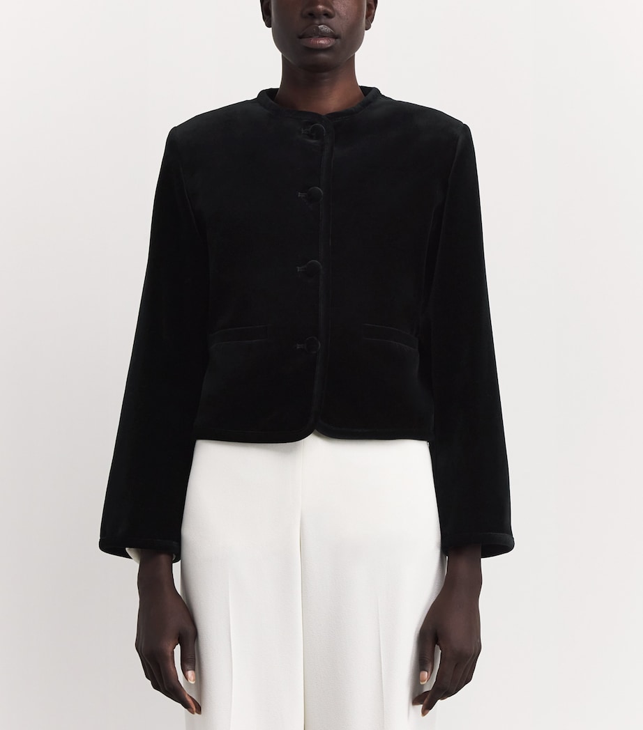 Velvet Cora Jacket BLACK Image 3
