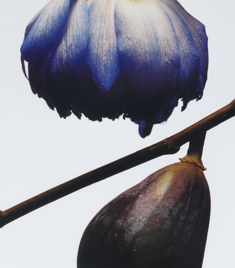 Fig & Lotus Flower Cologne (100Ml) NO COLOUR Image 3