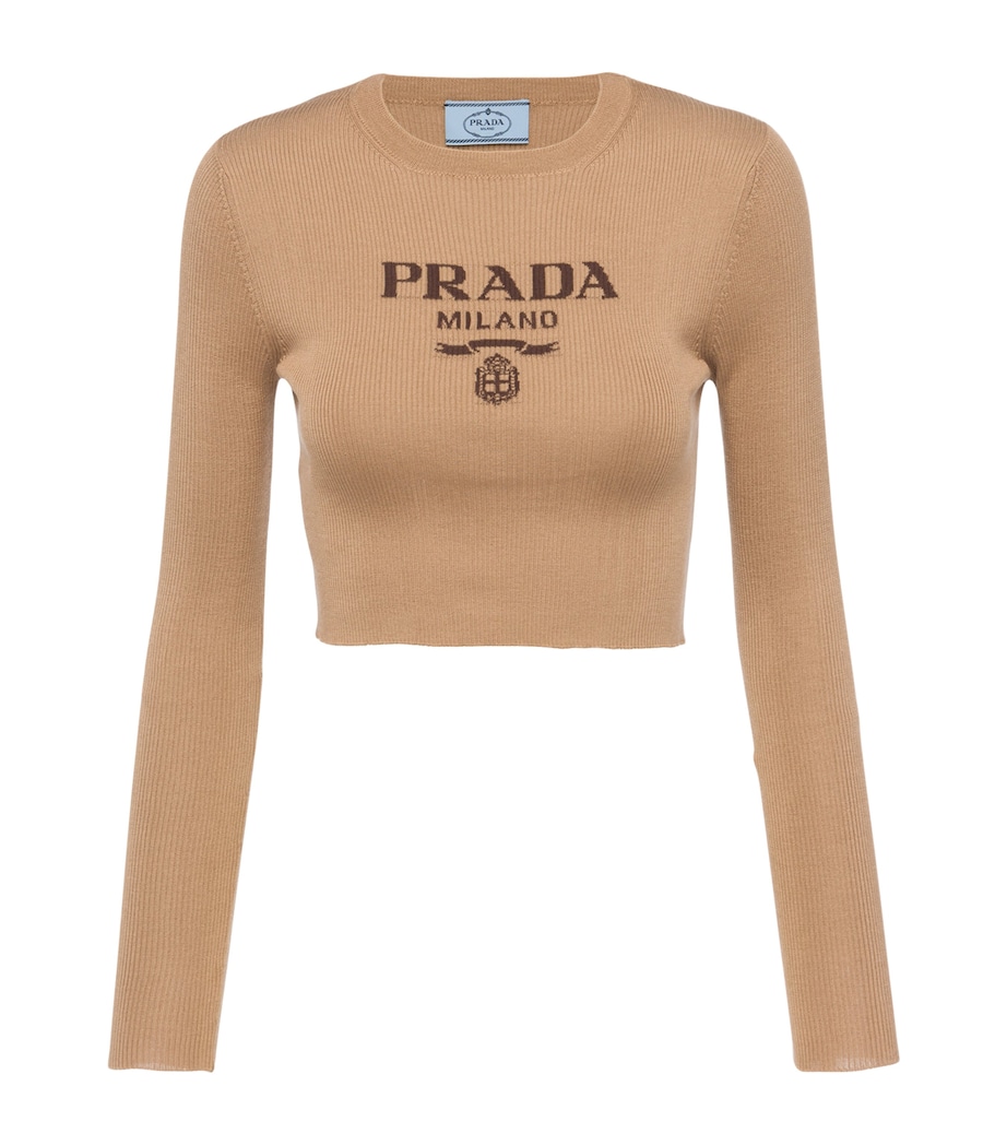 Silk Cropped Logo Sweater F0040 Image 1