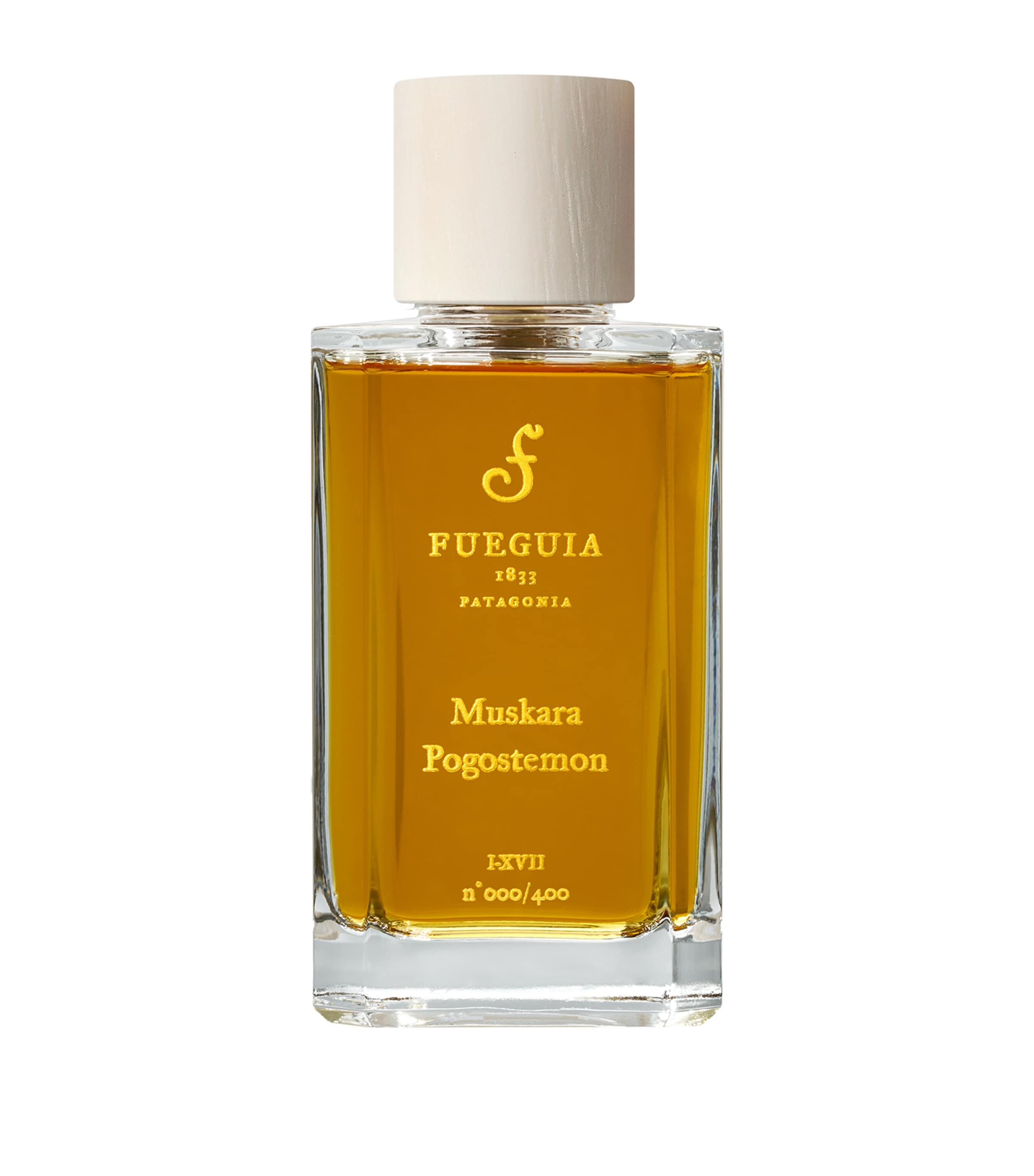 Fueguia 1833 Muskara Pogostemon Perfume (100ml) Image 1