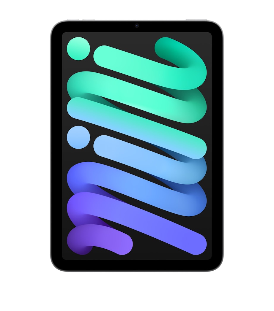iPad Mini 8.3" Wi-Fi (2024) 512GB - Space Grey GRAY Image 1