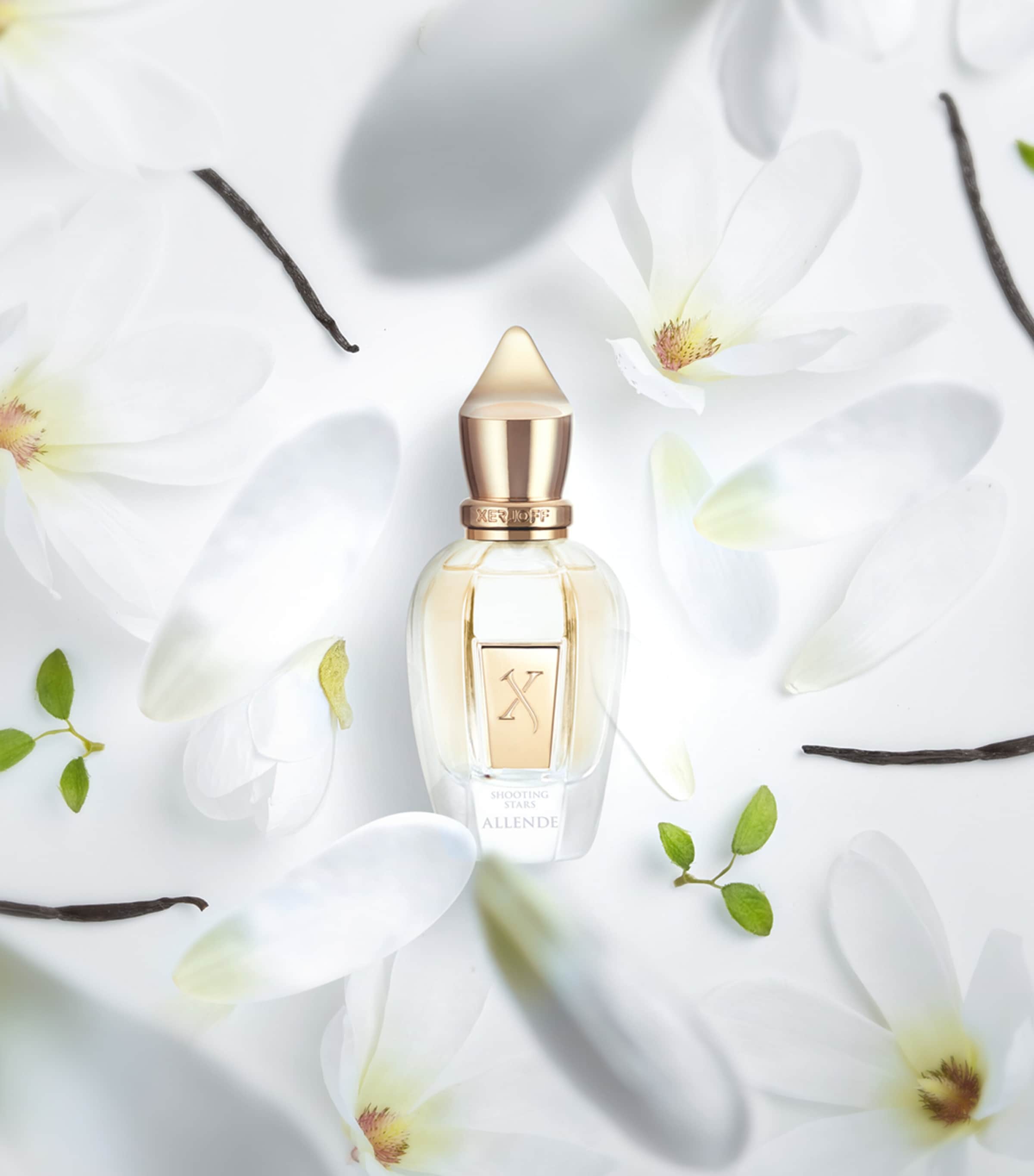 Shooting Stars Allende Eau de Parfum (50ml) NO COLOUR Image 2
