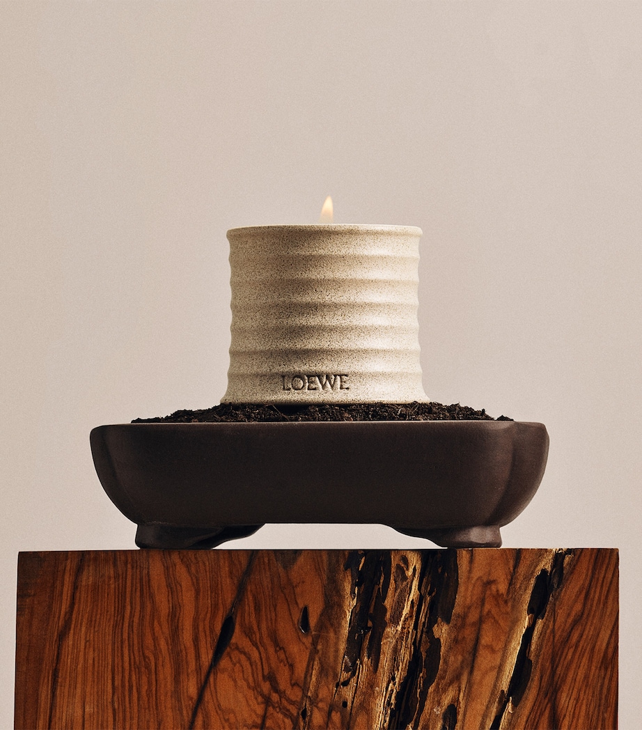 LOEWE Perfumes Tuberose Candle (170g) Image 4