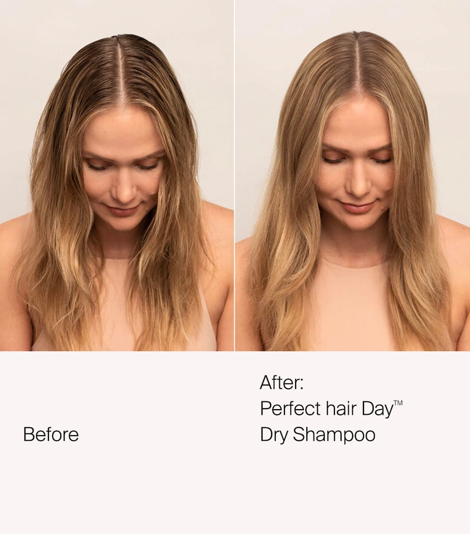 Perfect hair Day Dry Shampoo (355ml) NO COLOUR Image 2