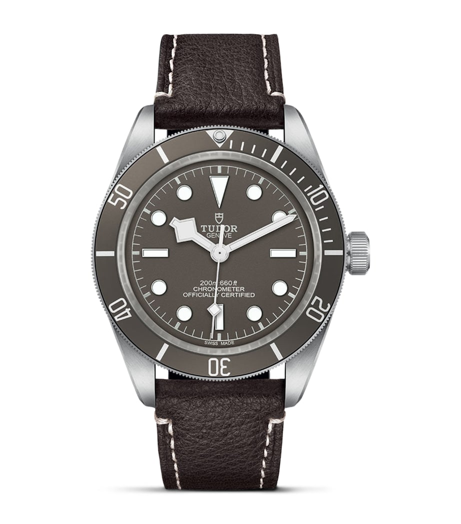 TUDOR Black Bay Fifty-Eight 925 Silver Watch 39mm Grey Image 1