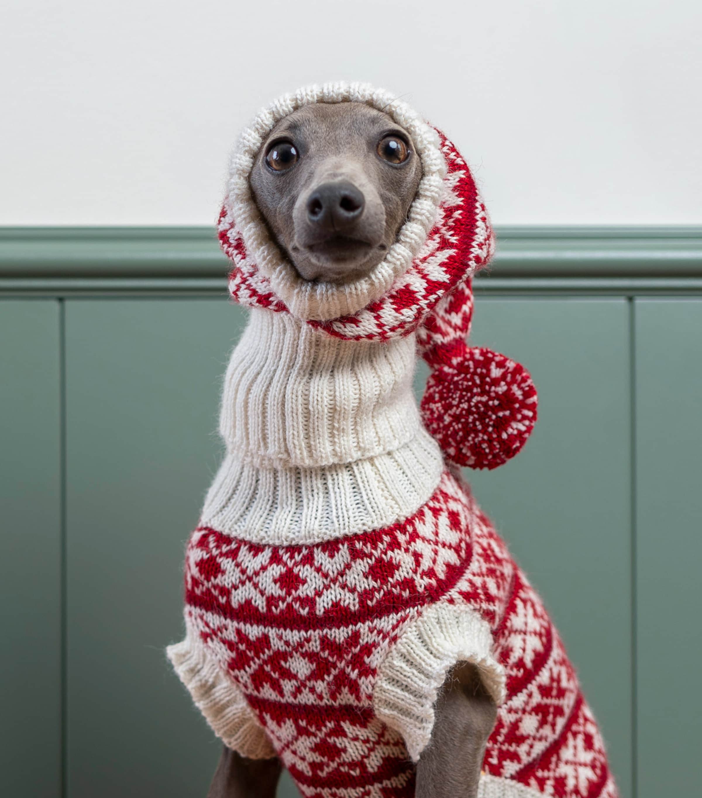 Alpaca-Blend Christmas Dog Hat WHITE / RED Image 3