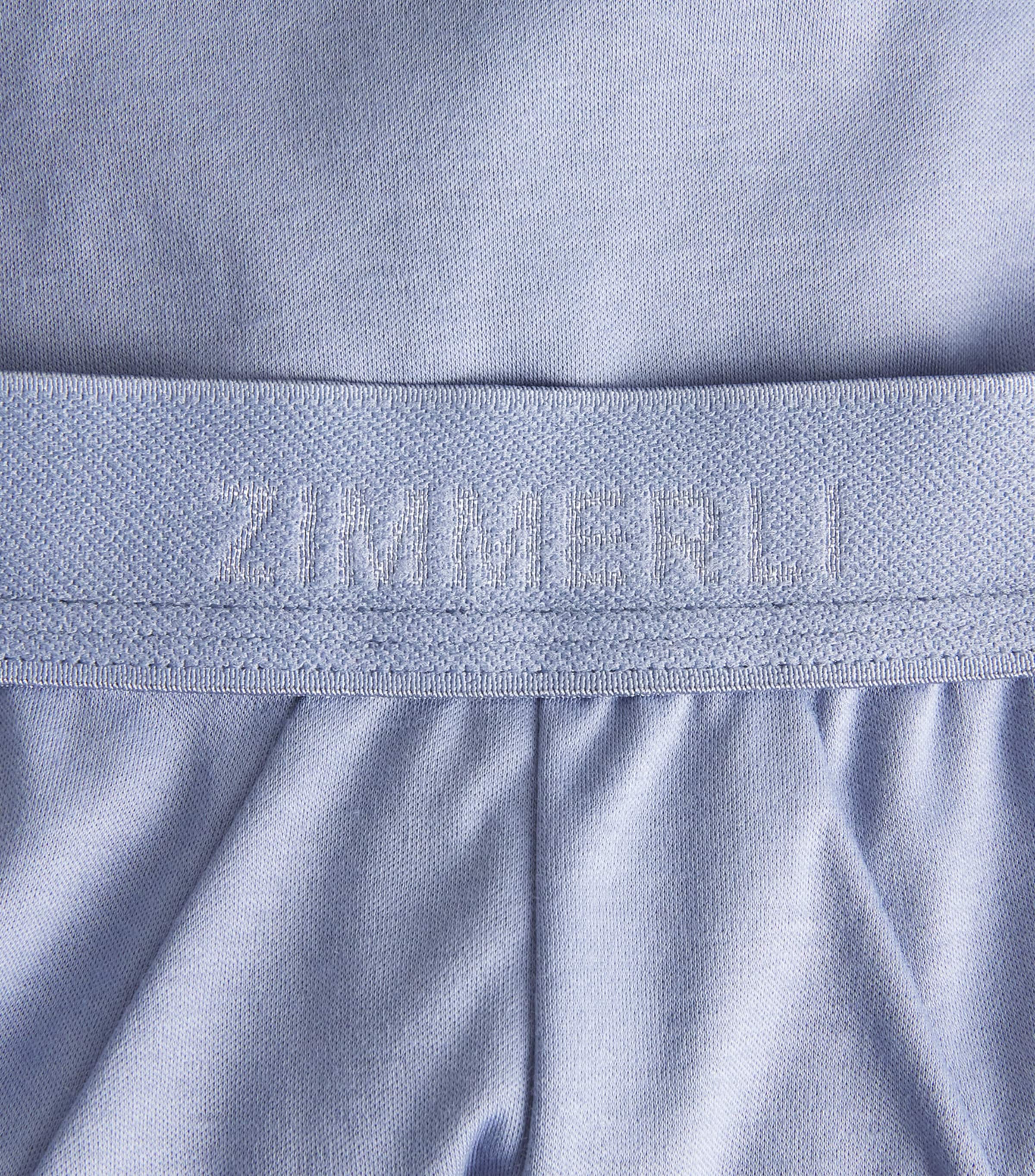 Zimmerli Mens Sea Island Cotton Briefs Mountain Blue Image 5