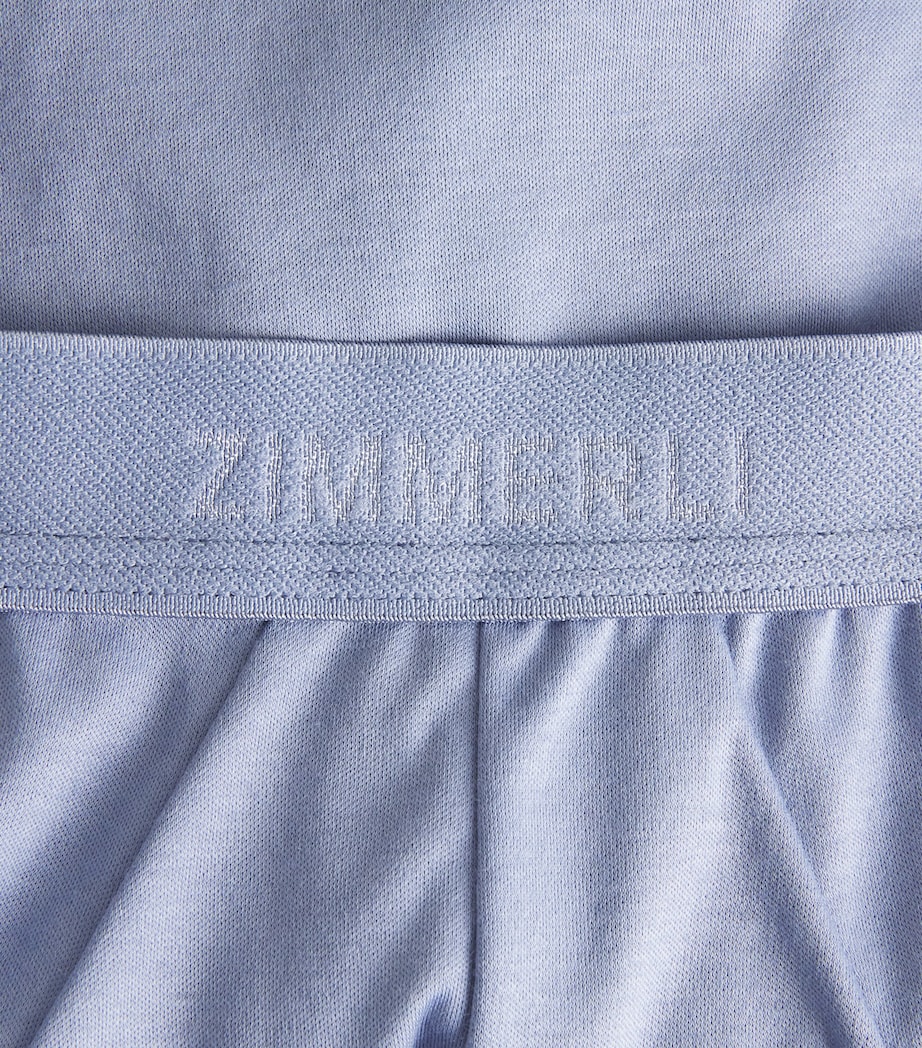 Zimmerli Mens Sea Island Cotton Briefs Mountain Blue Image 5