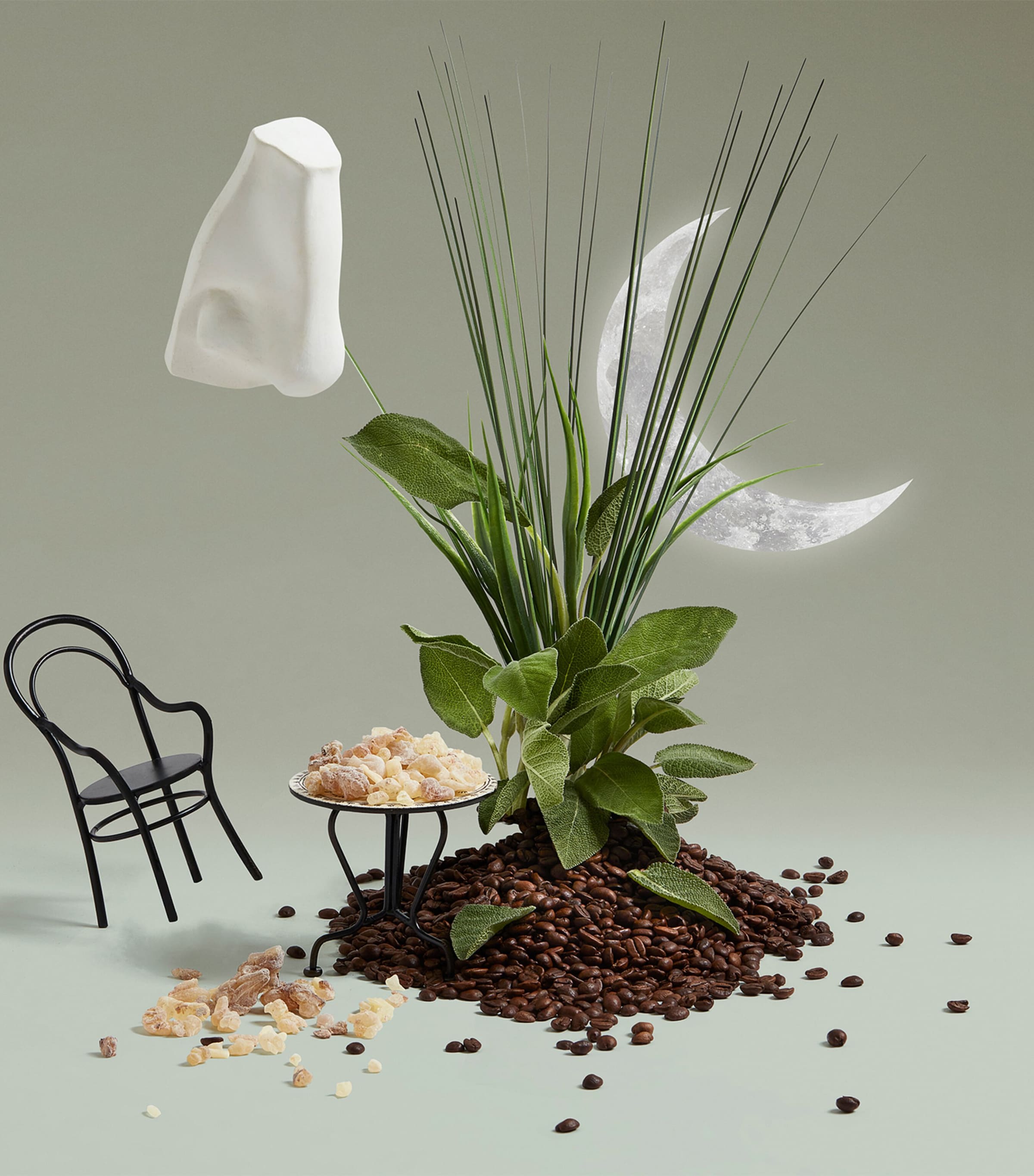 Endymion Eau de Cologne (100ml) NO COLOUR Image 4