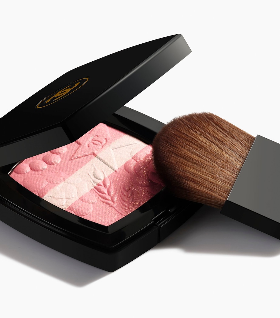 LES SIGNES DE CHANEL Illuminating Powder Blush NO COLOUR Image 2