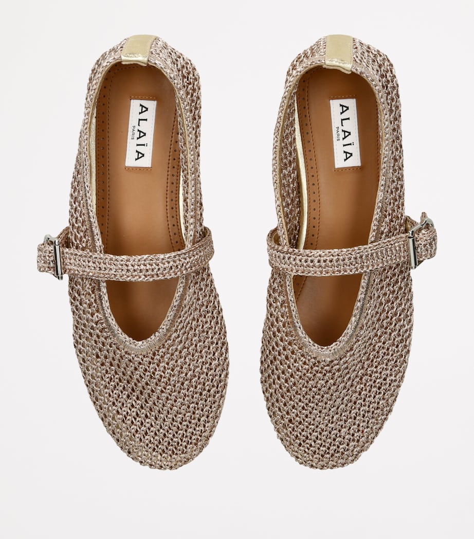 Lurex Crochet Ballet Flats BLUSH Image 4