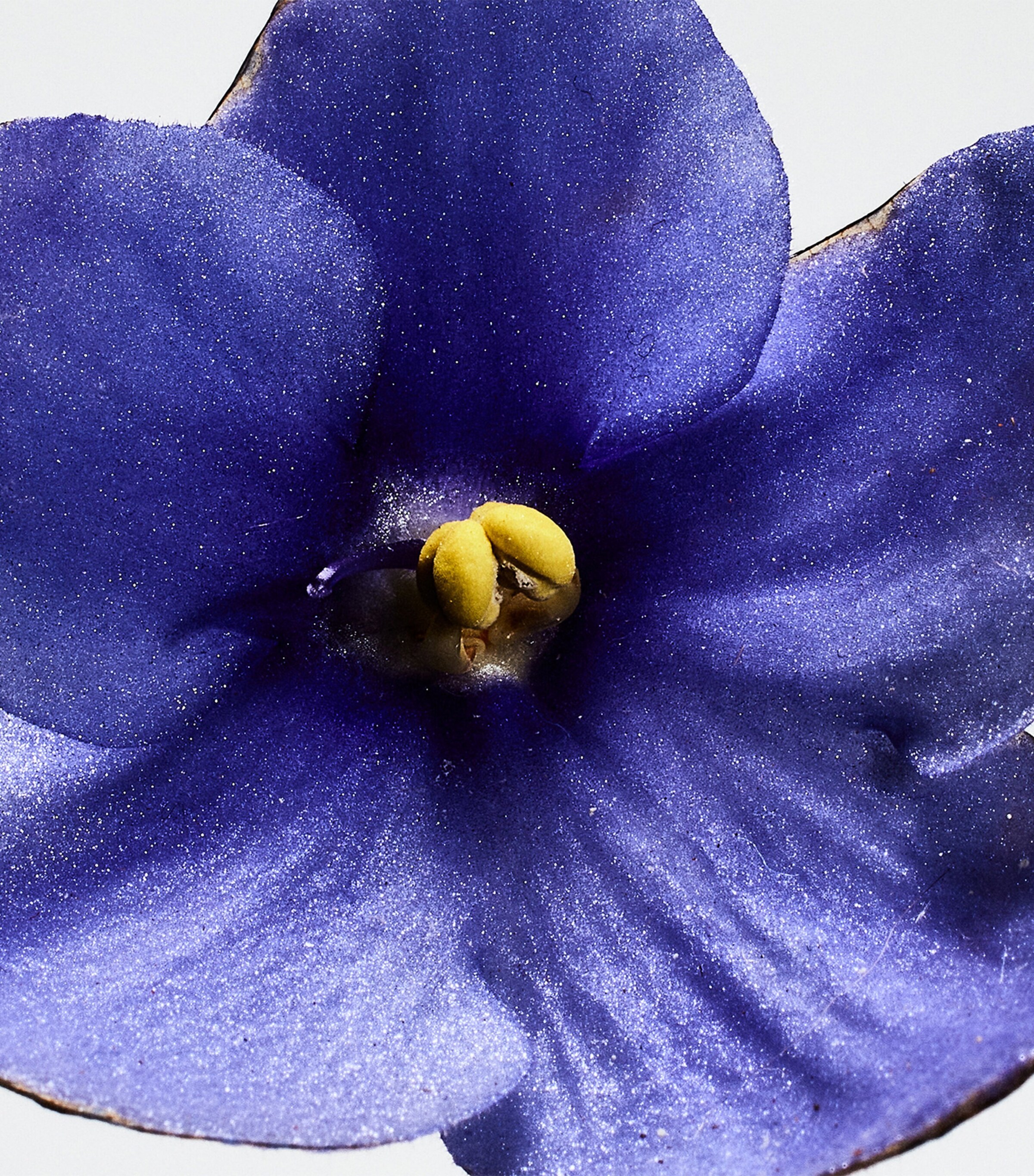 Un Paseo Por Madrid San Miguel Eau de Parfum (100ml) NO COLOUR Image 3