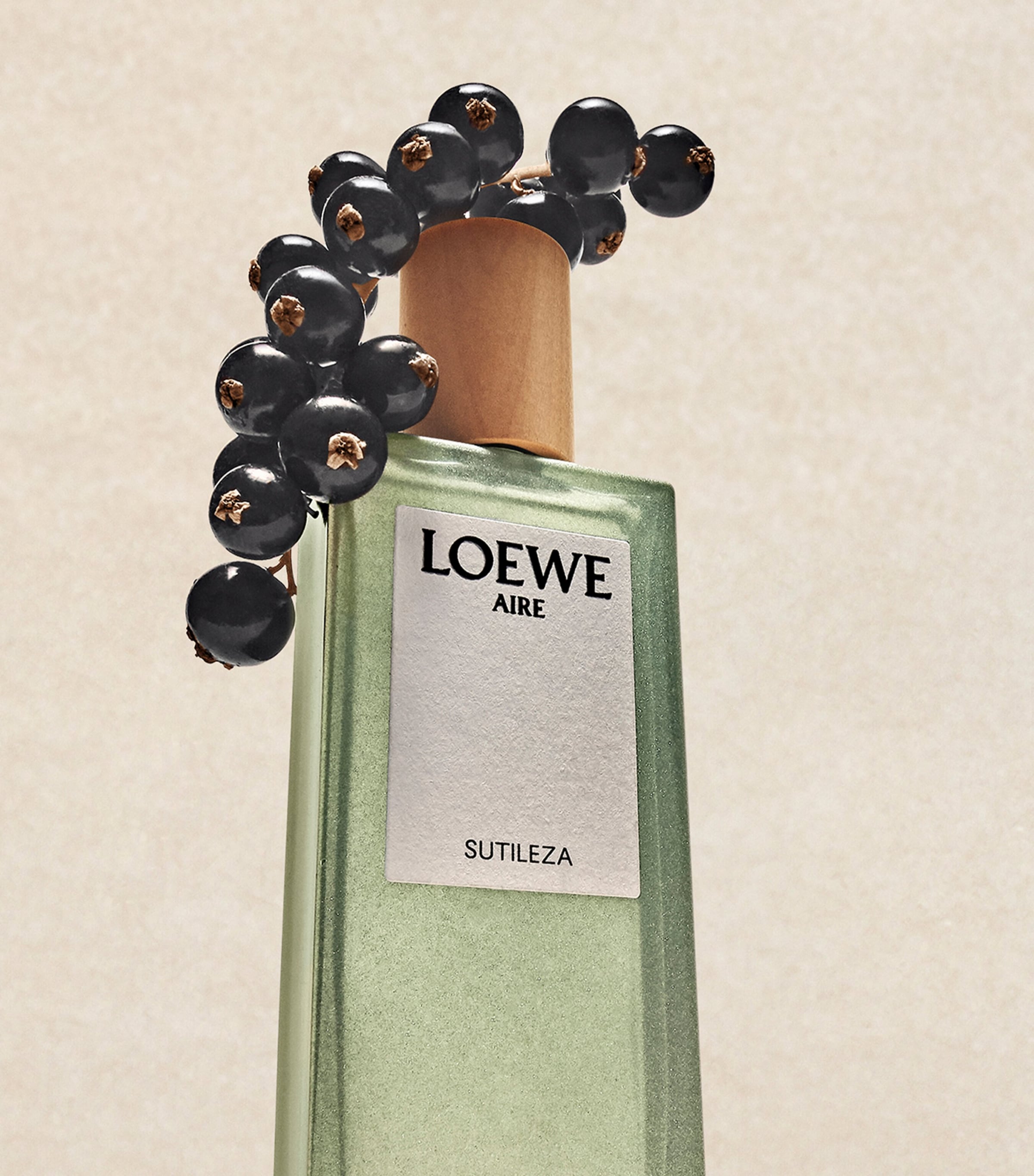LOEWE Aire Sutileza Eau de Toilette (100ml) | Harrods US