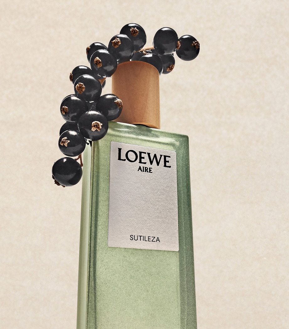 Aire Sutileza Eau de Toilette (100ml) NO COLOUR Image 5