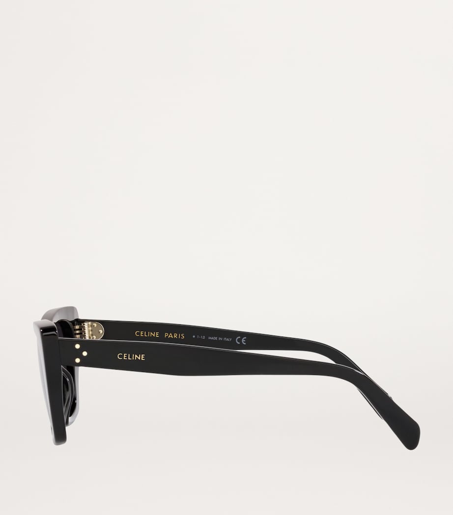 Cat Eye Sunglasses 1330L1 Image 3