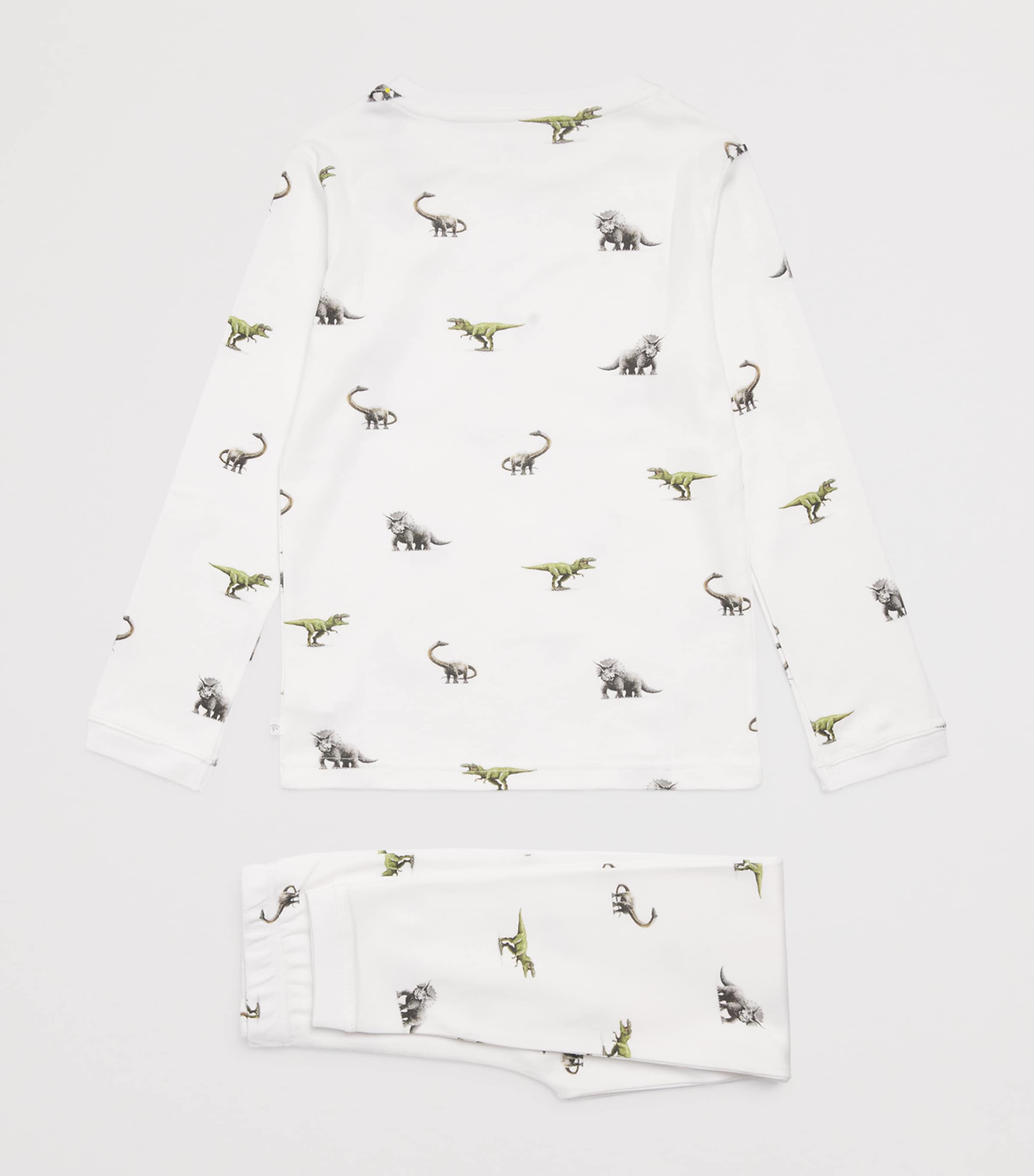 Rosa & Blue Dinosaur Print Pyjamas (6-7 Years) Dinosaur Image 2