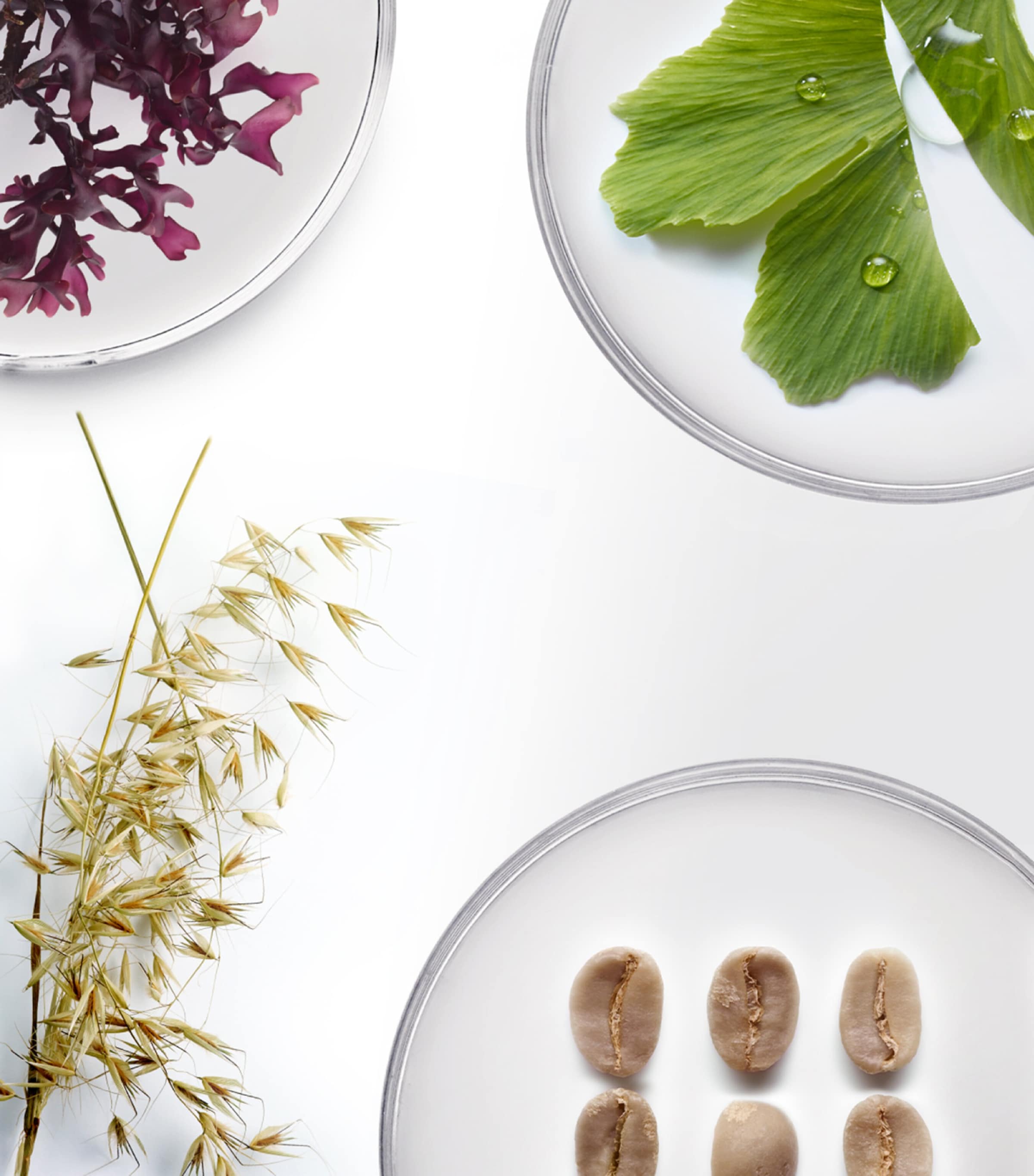 The Brilliant Eye Infusion (30 x 0.3ml) NO COLOUR Image 3