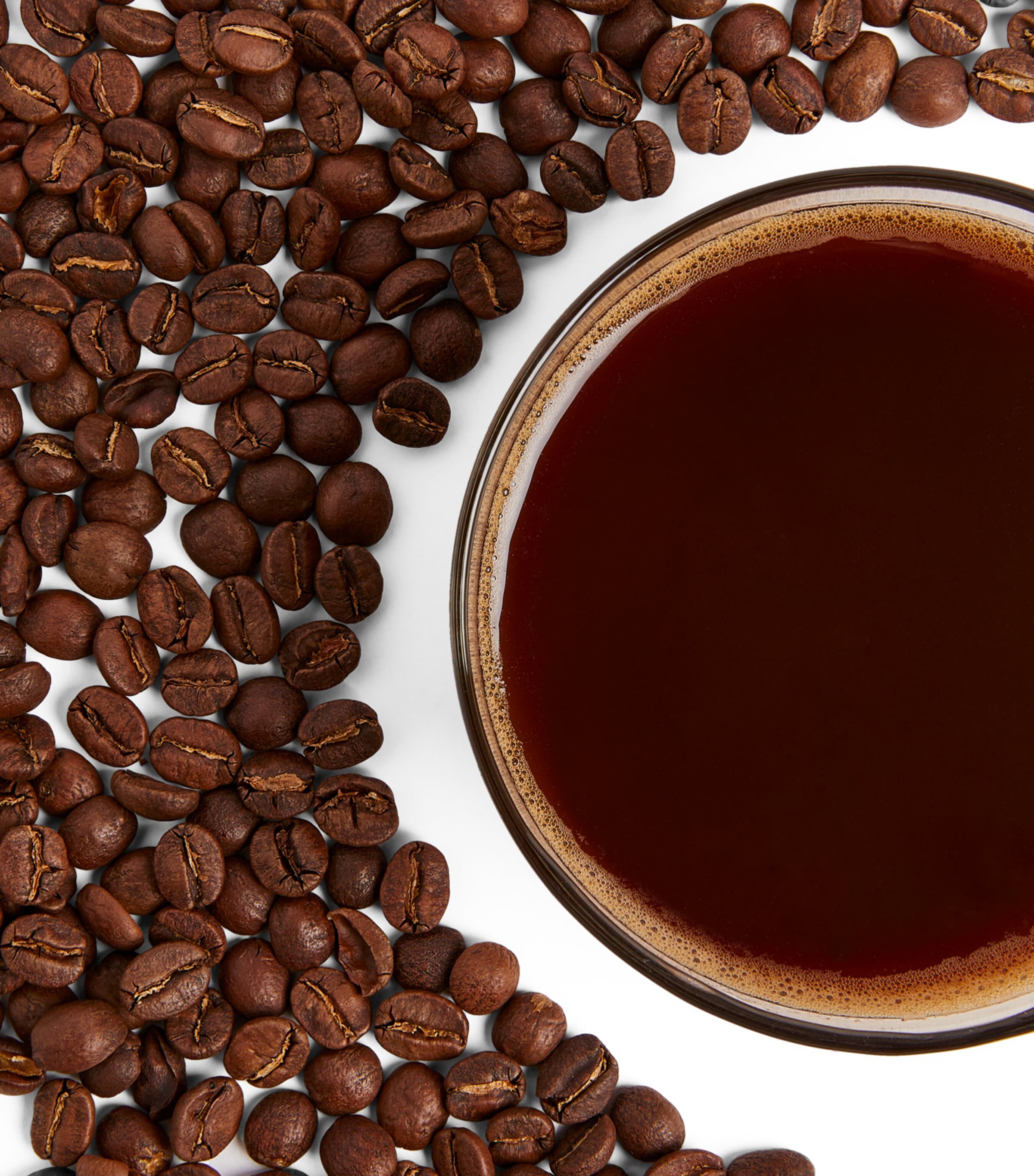 Harrods Tanzanian Mbili Twiga Coffee Beans (250g) Image 3