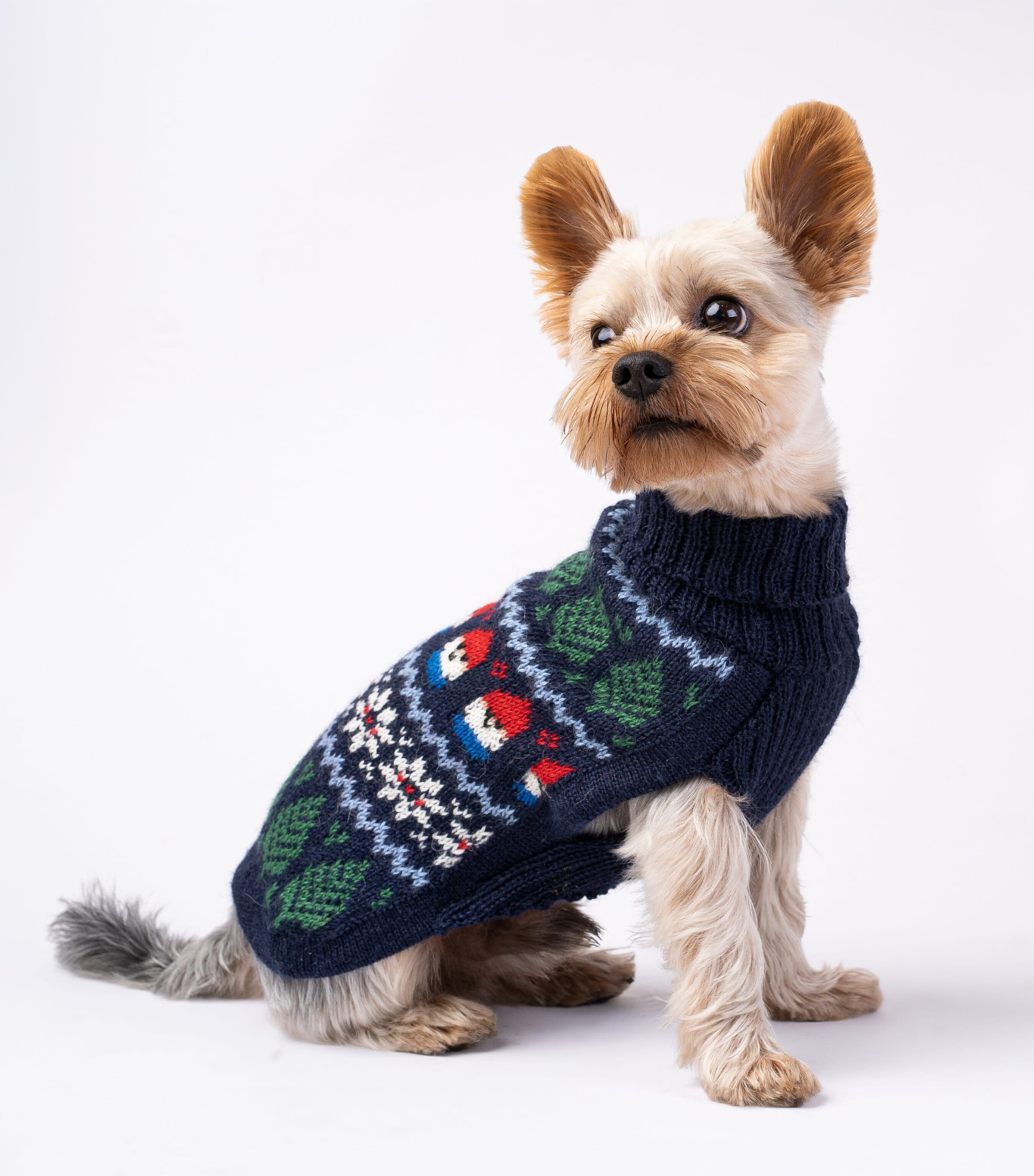 Alpaca-Blend Gnomes Dog Sweater BLUE Image 3