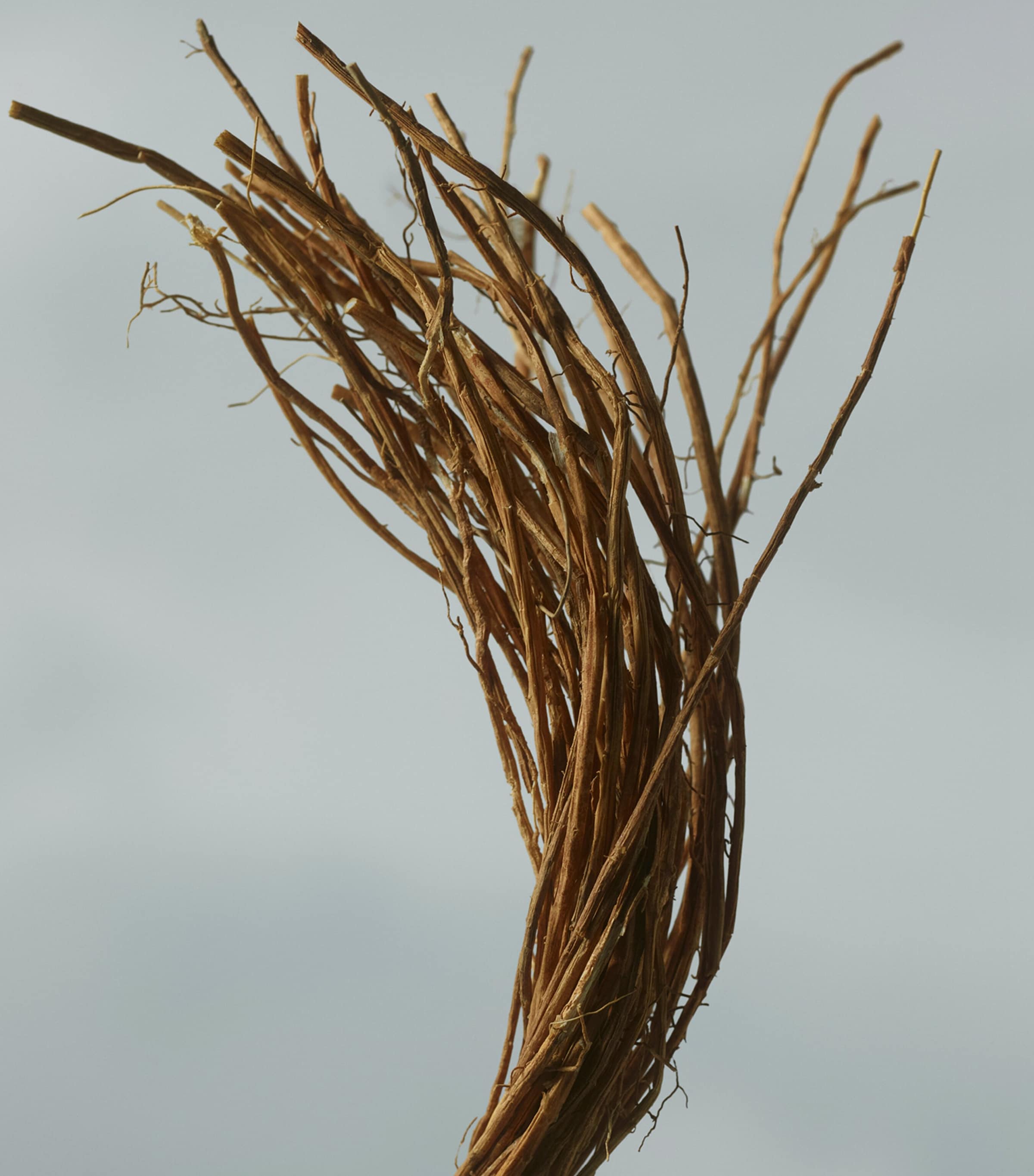 Golden Haze Eau de Parfum (100ml) NO COLOUR Image 3