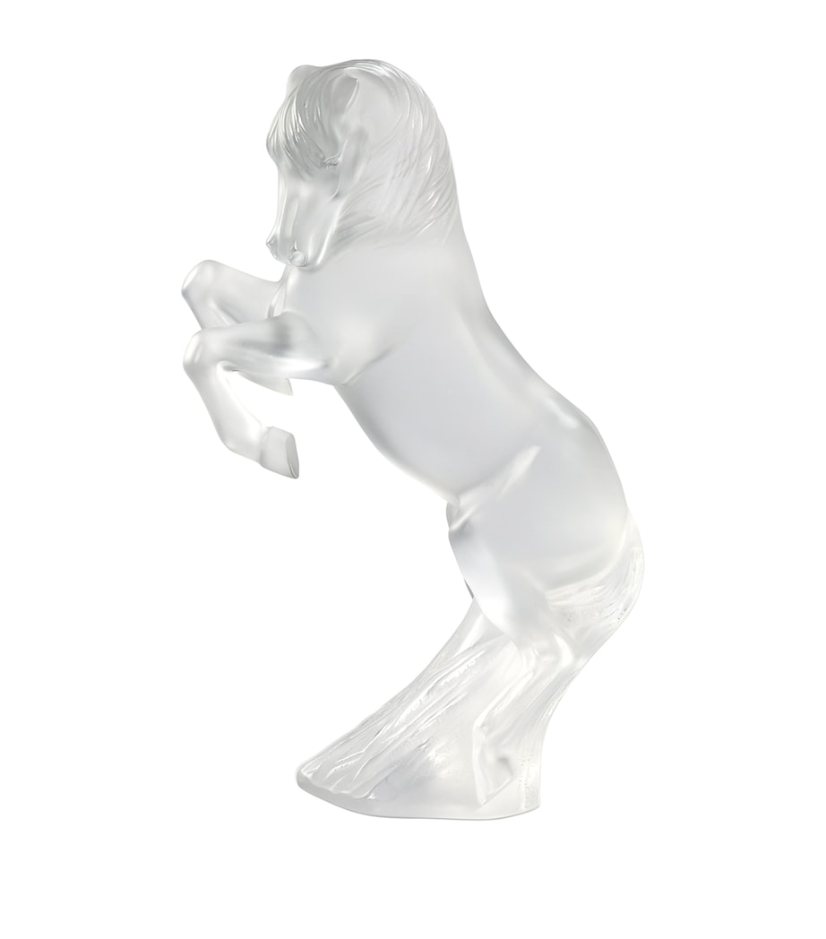 Large Prancing Horse Sculpture (37cm) INCOLORE Image 1