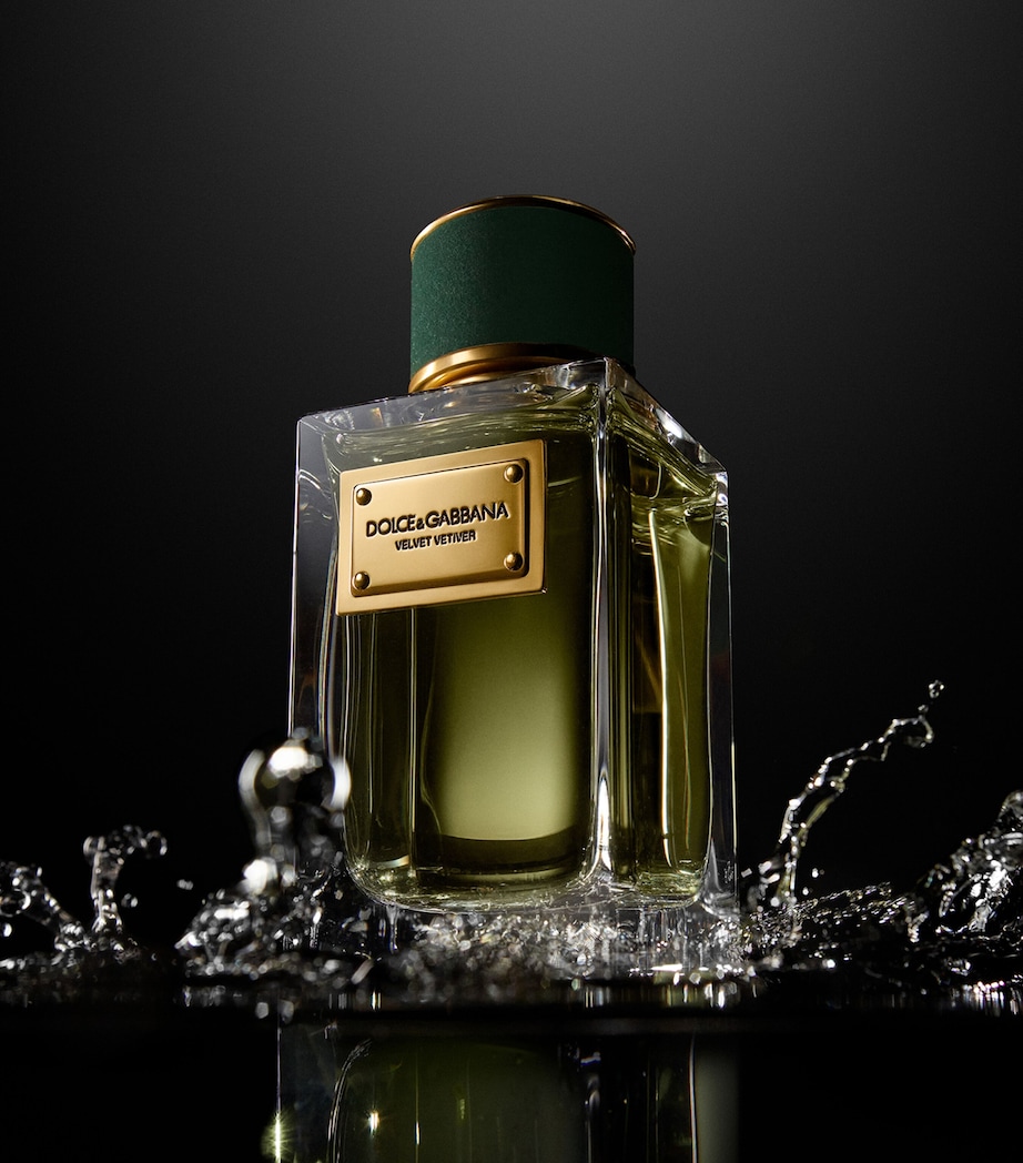 Velvet Vetiver Eau de Parfum (100ml) NO COLOUR Image 6