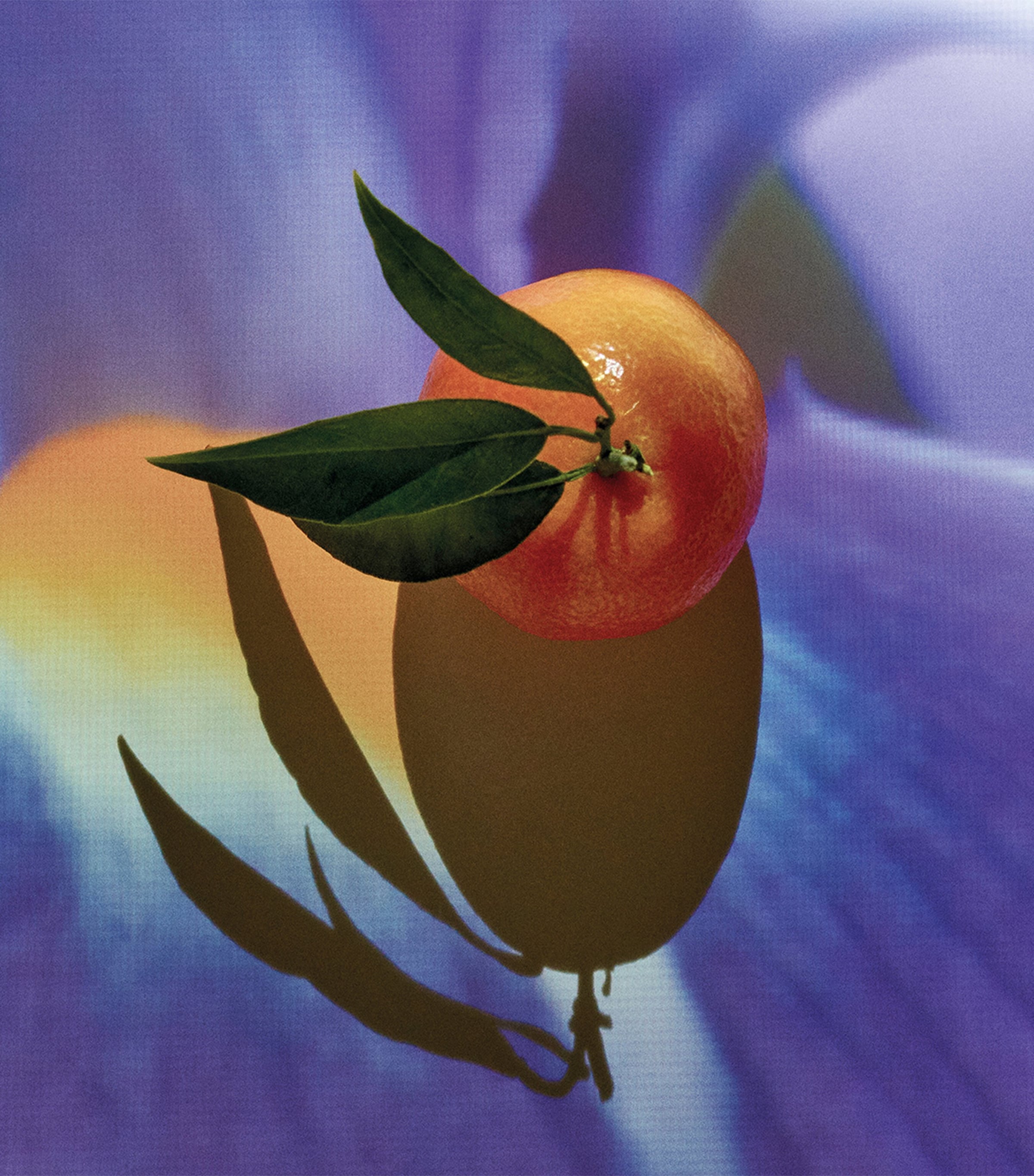 Solo Elixir Eau de Parfum (100ml) NO COLOUR Image 3