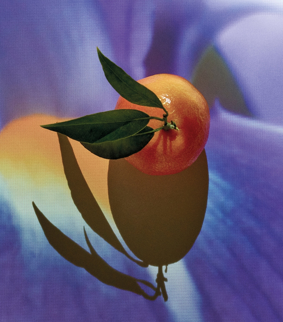 Solo Elixir Eau de Parfum (100ml) NO COLOUR Image 3