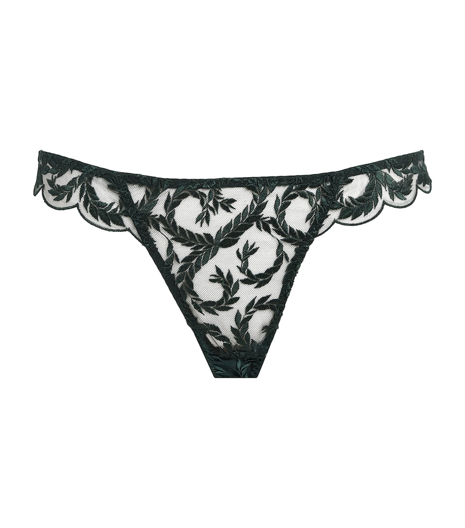 Coco De Mer Womens Lace Arletta Brazilian Briefs Emerald Image 1
