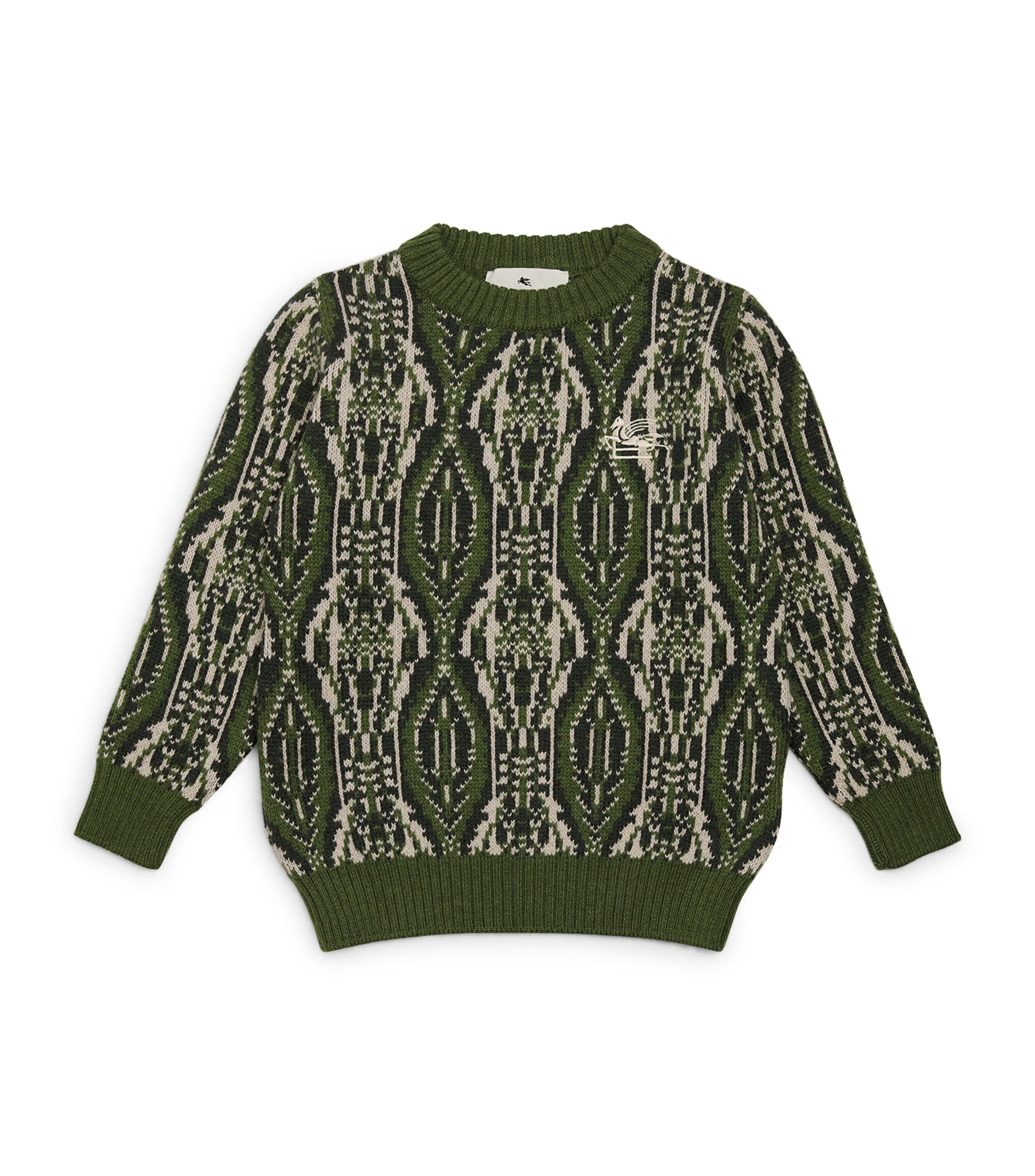 Etro Sweater  Kids Color Green In Green
