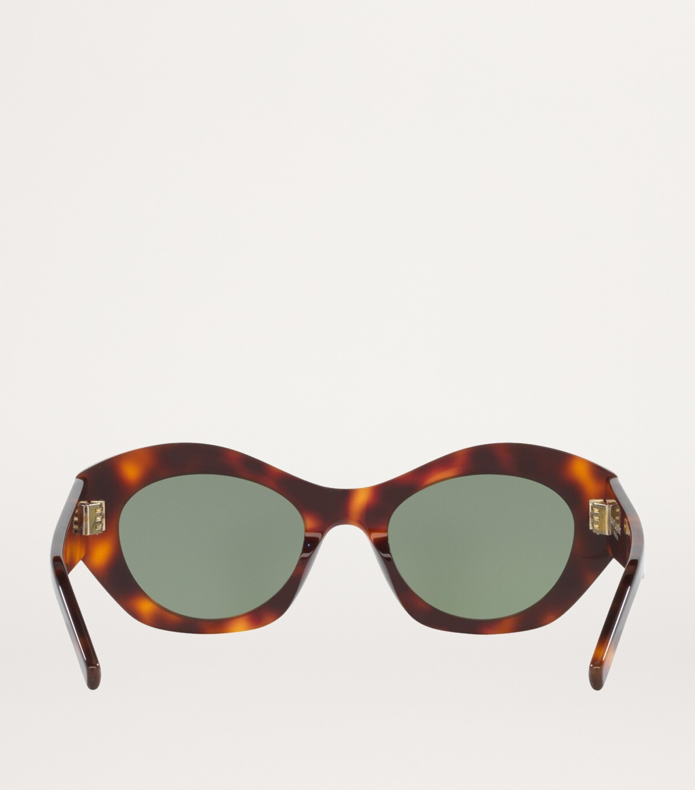 Saint Laurent Acetate 0YS000519 Sunglasses Image 4