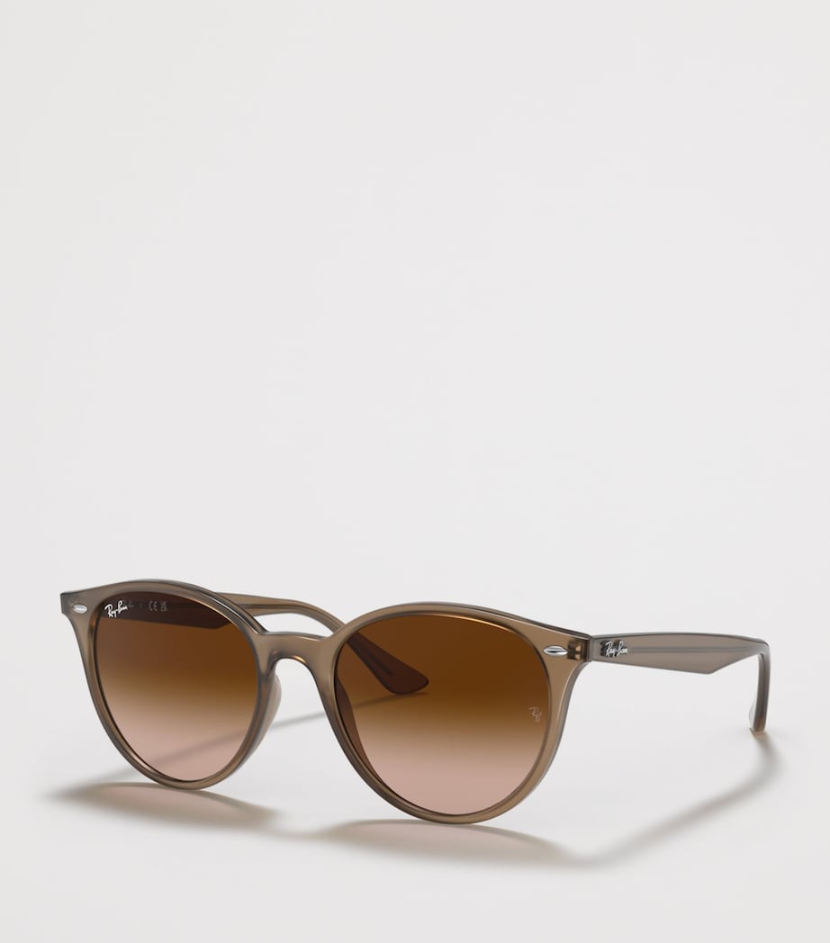 Ray-Ban Acetate Phantos Round Sunglasses Image 2