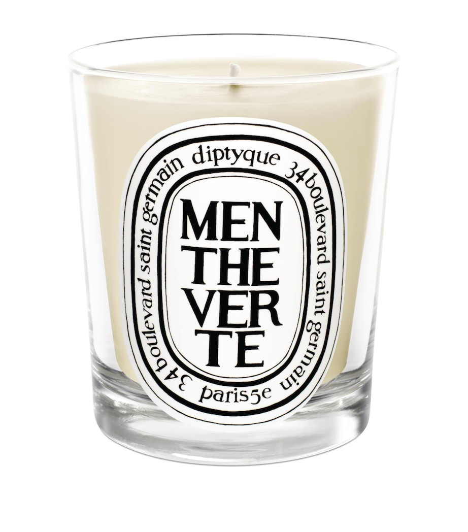 Diptyque Menthe Verte Candle (190g) Image 1