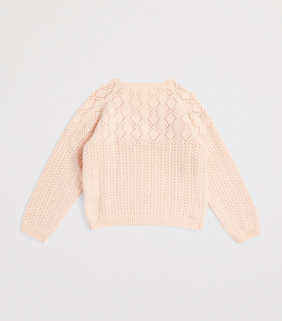 Pointelle Floral Vakita Sweater (4-12 Years) BLUSH Image 2