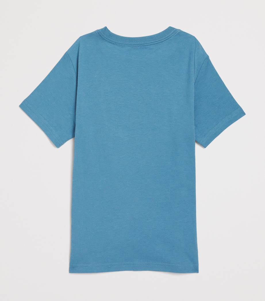 Ralph Lauren Kids Cotton Graphic T-Shirt (2-7 Years) Cmp Blu Image 2