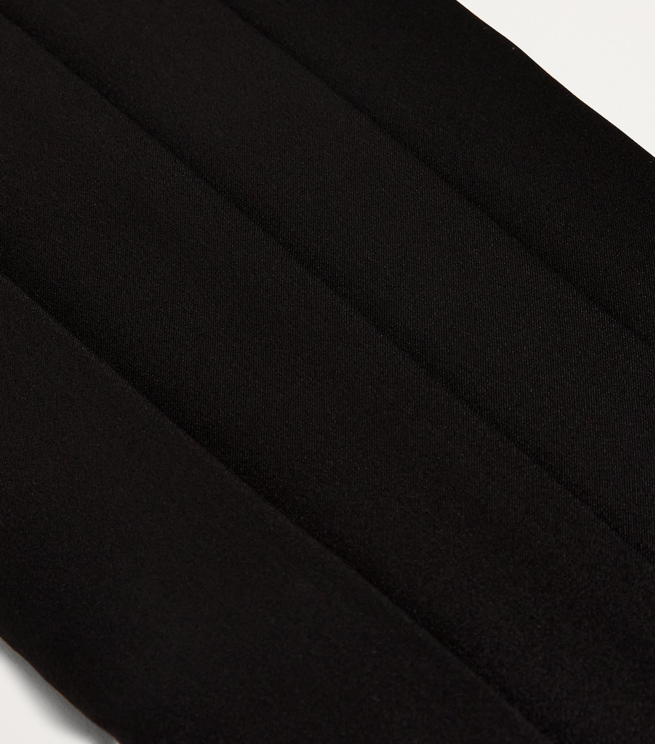 Silk Cummerbund Image 5