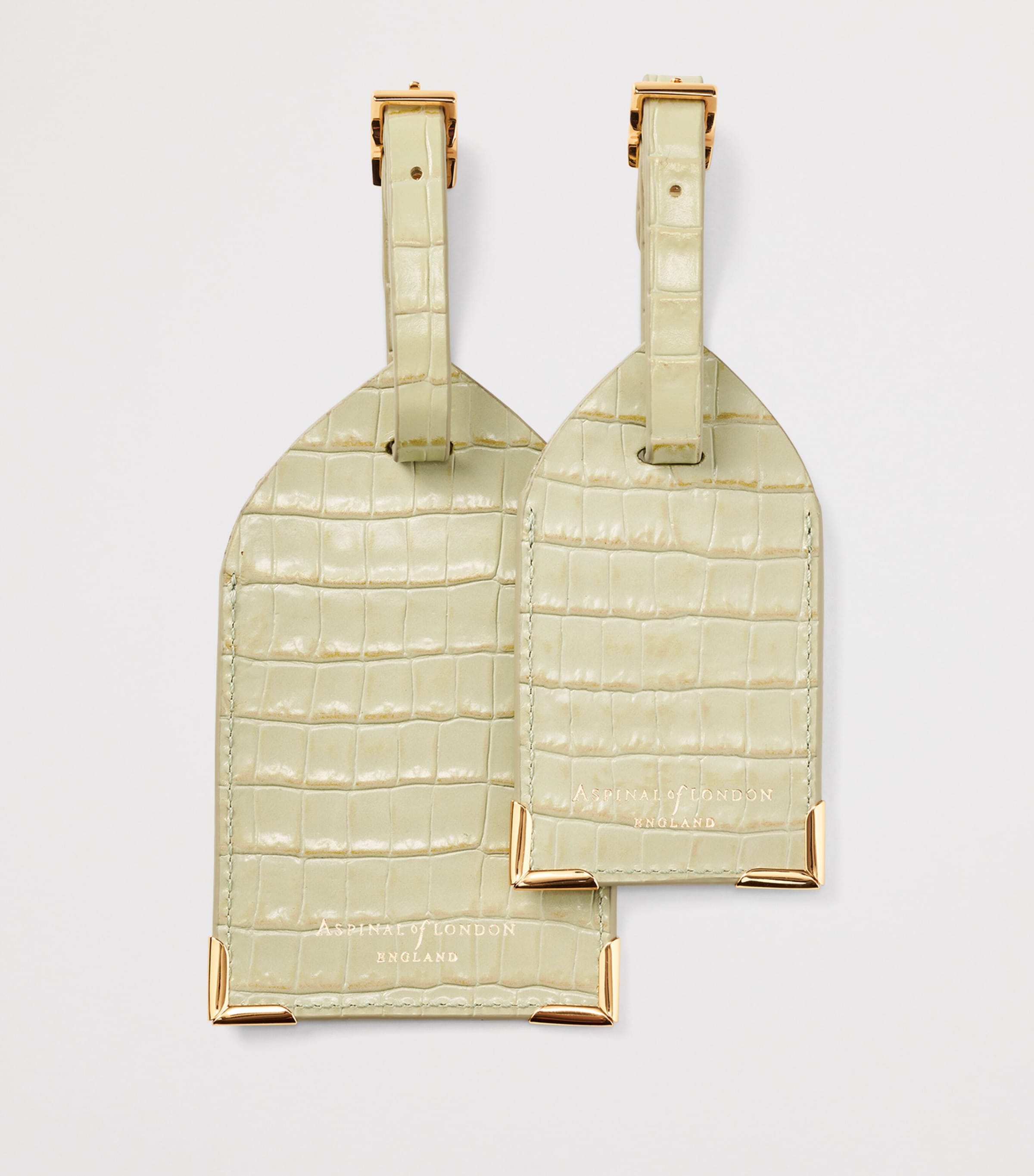 Leather Luggage Tags (Set of 2) PISTACHIO Image 2