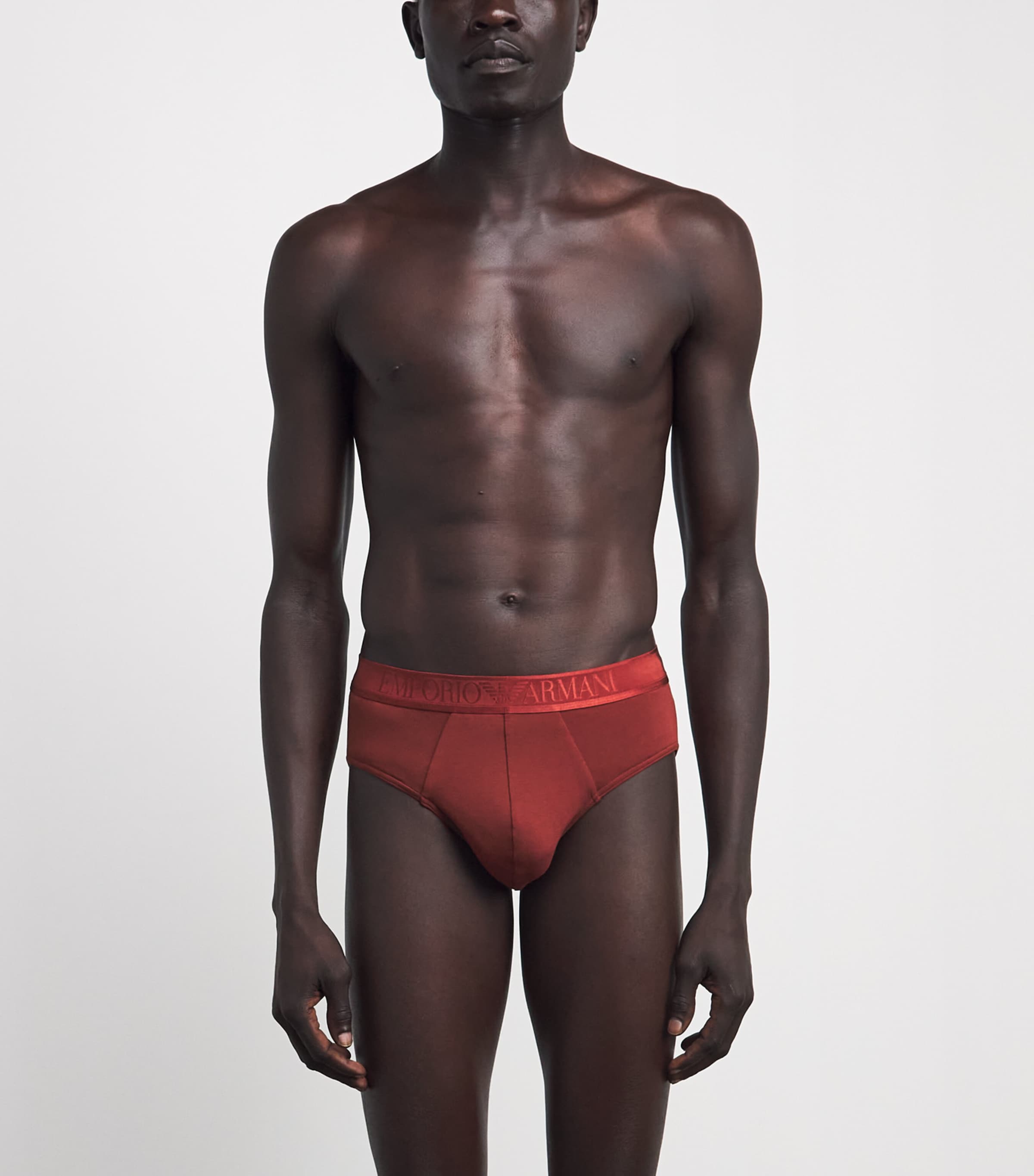 Emporio Armani Mens Modal Logo Briefs Brick Image 2