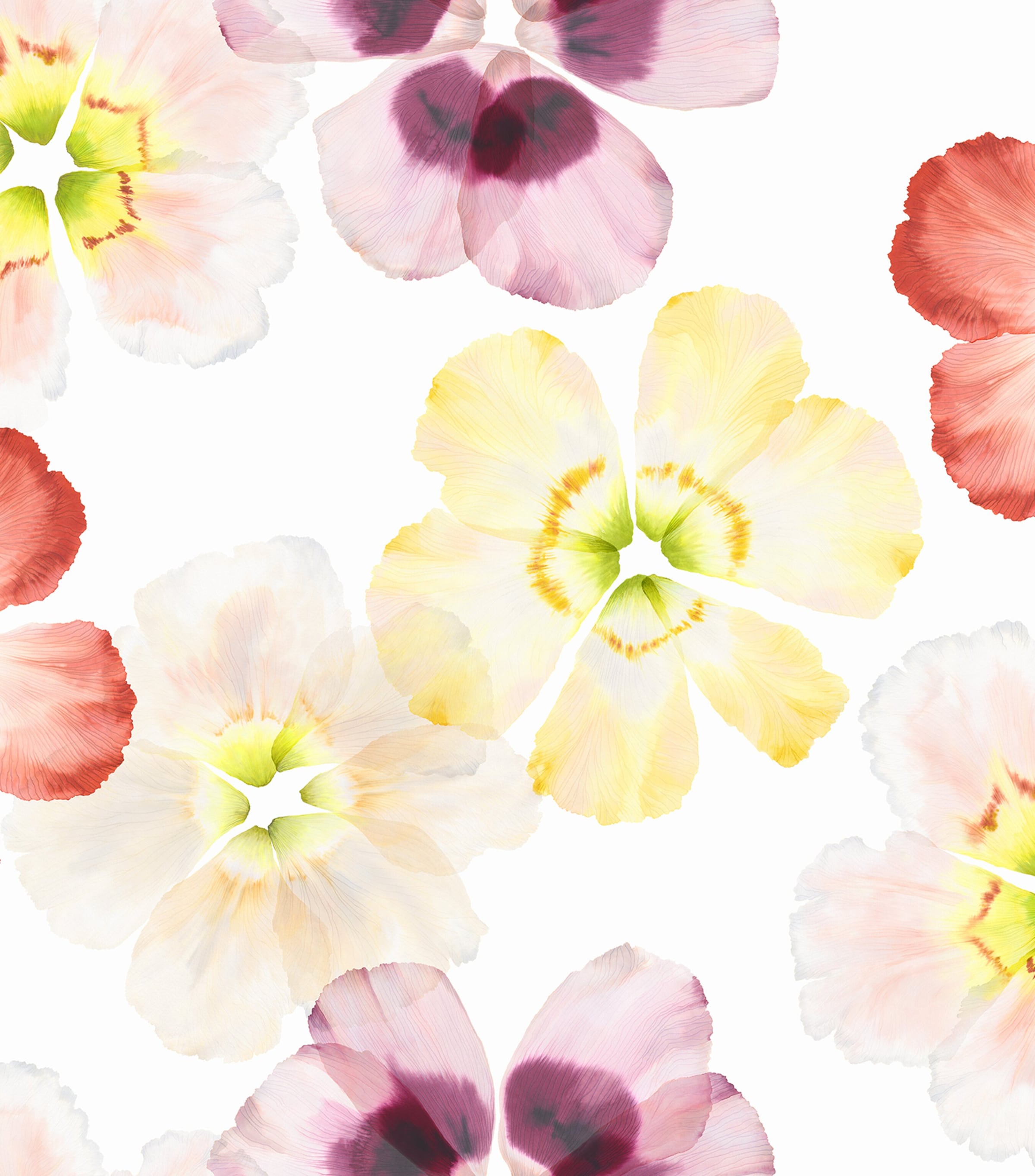 Cotton Sateen Aurora King Duvet Cover (220cm x 230cm) BLANC Image 2