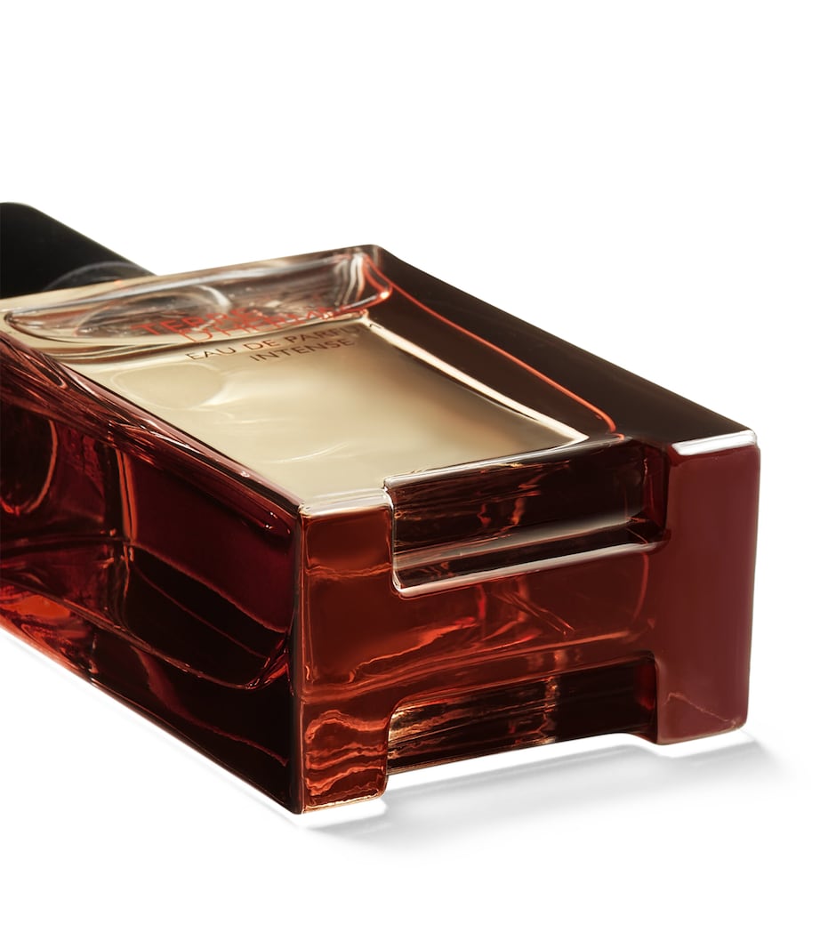 Terre d’Hermès Eau de Parfum Intense (50ml) NO COLOUR Image 4