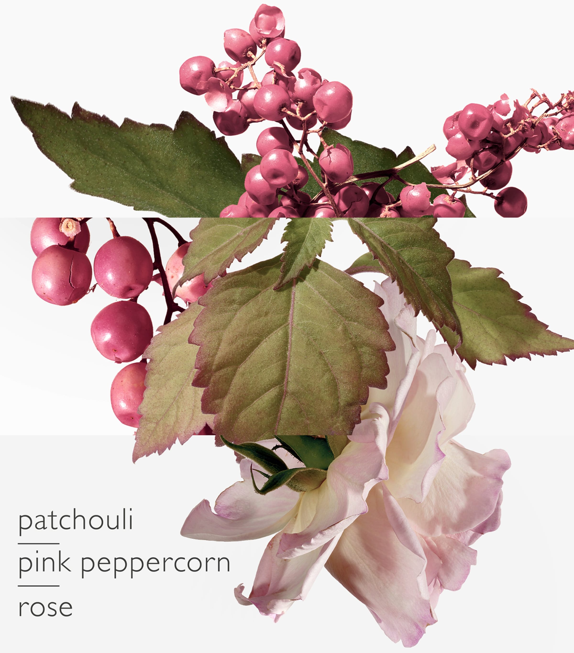 Twilly d'Hermès Eau Poivrée Eau de Parfum (85ml) NO COLOUR Image 2