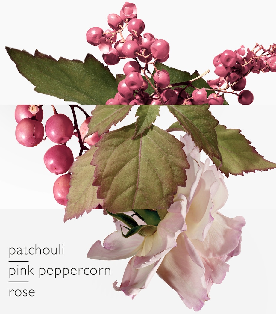 Twilly d'Hermès Eau Poivrée Eau de Parfum (85ml) NO COLOUR Image 2