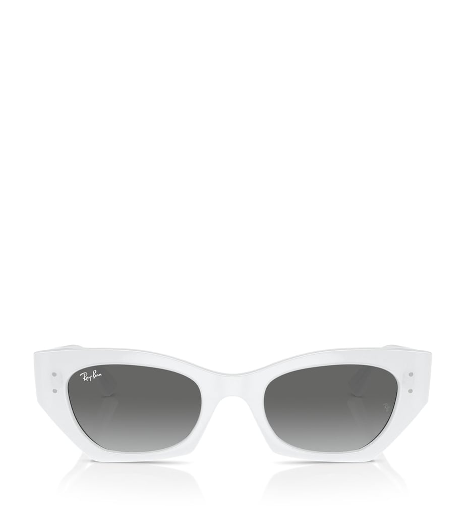 RB4430 Zena Sunglasses 675911 Image 1