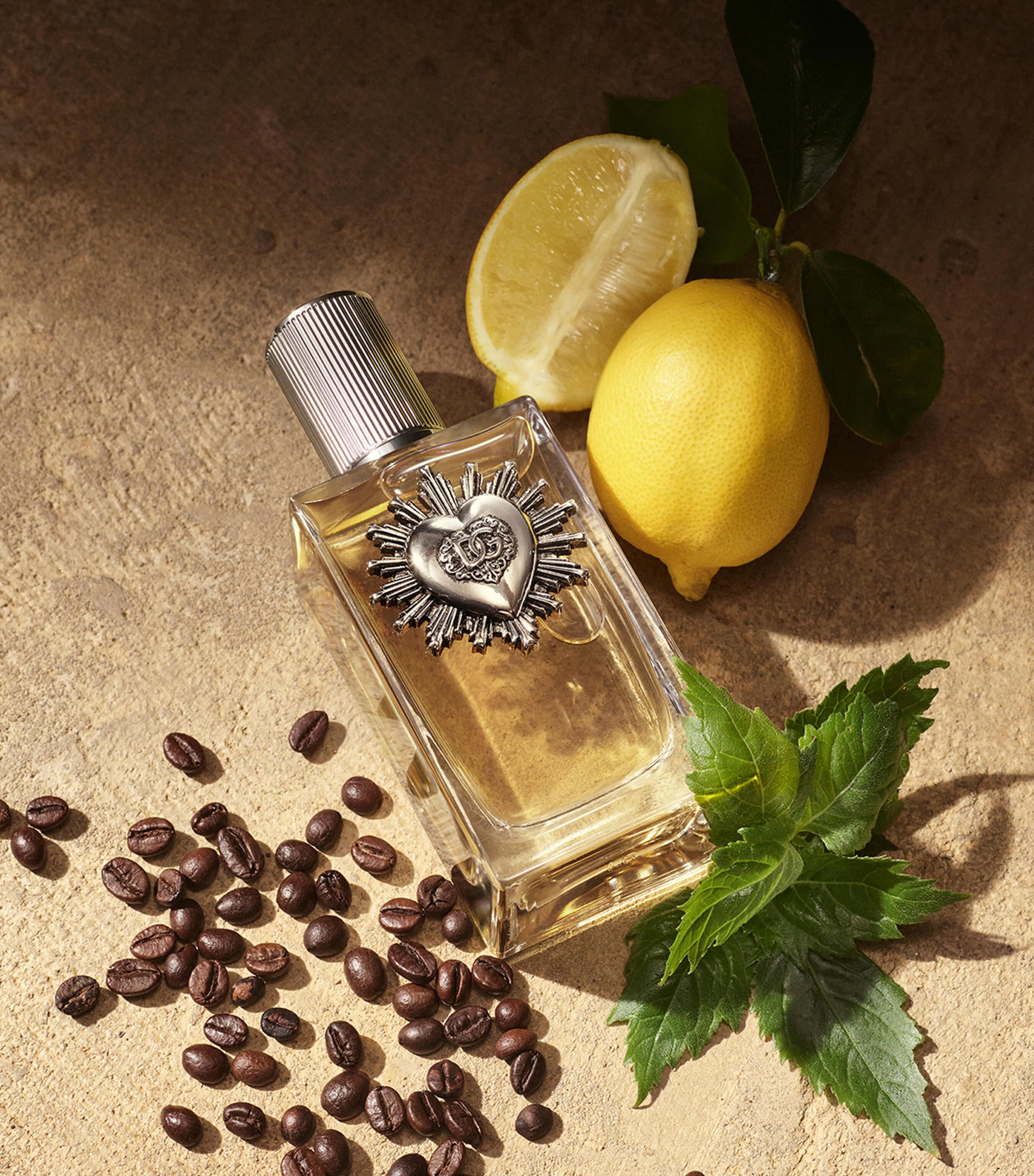 Devotion for Men Eau de Parfum (50ml) NO COLOUR Image 3