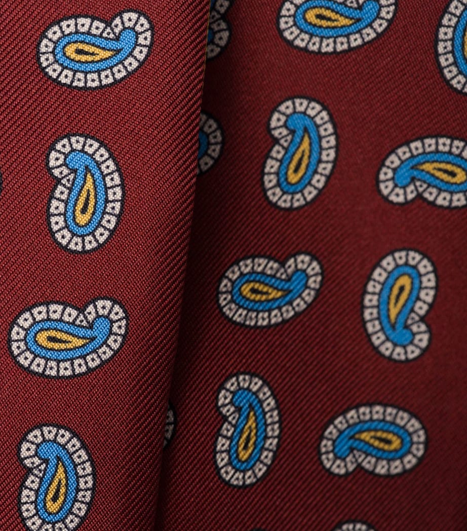 Silk Paisley Skinny Scarf F0043 Image 3