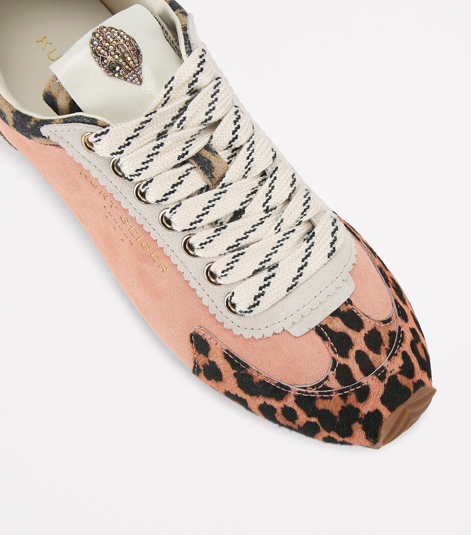 Kurt Geiger London Suede Islington Sneakers Peach Image 3