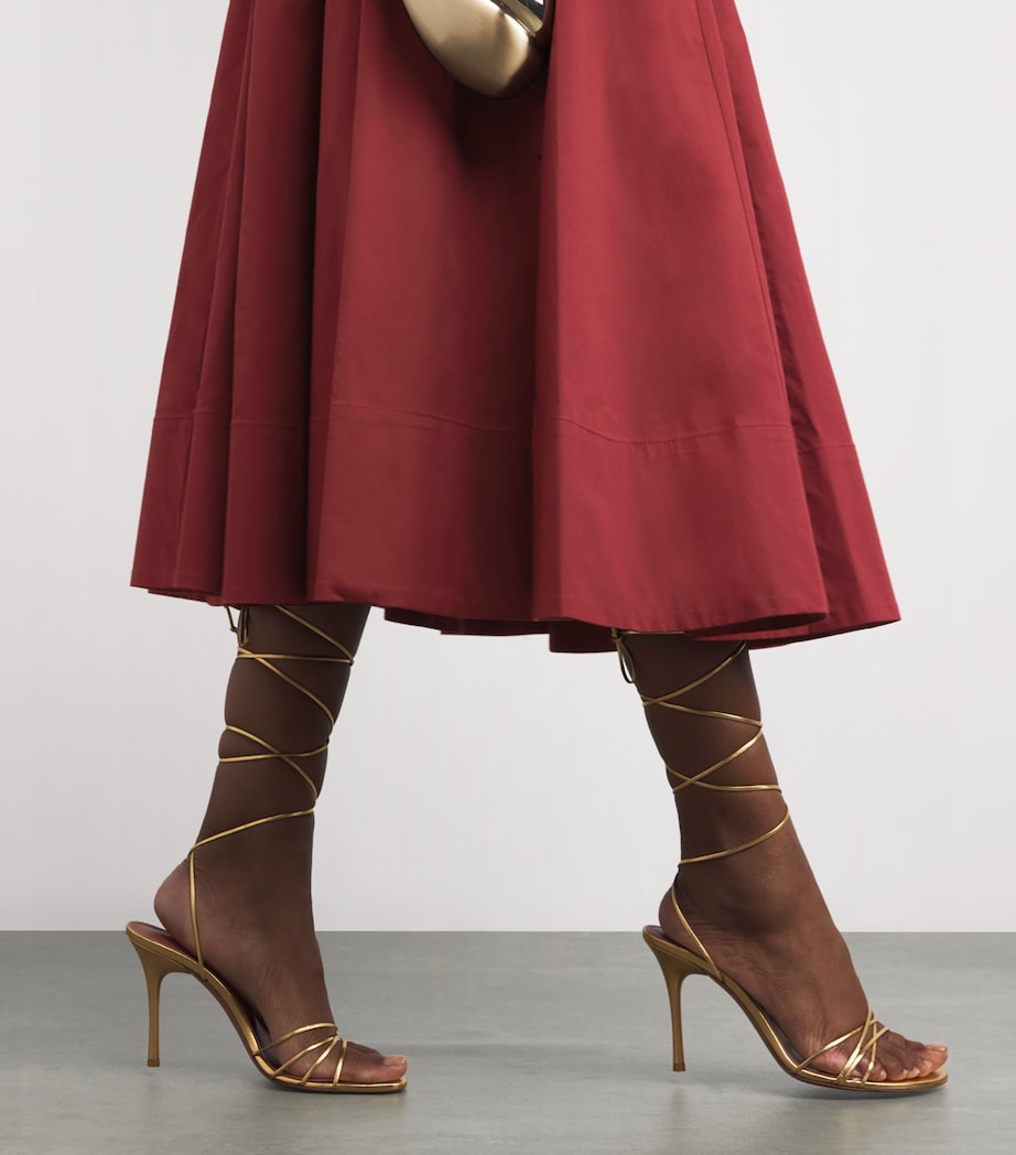 Stretch-Cotton Wells Midi Dress SANG SANGRIA Image 6