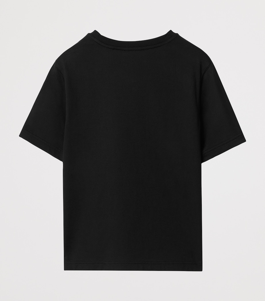 Cotton Thomas Bear and Friends T-Shirt (3-12 Years) BLACK Image 2